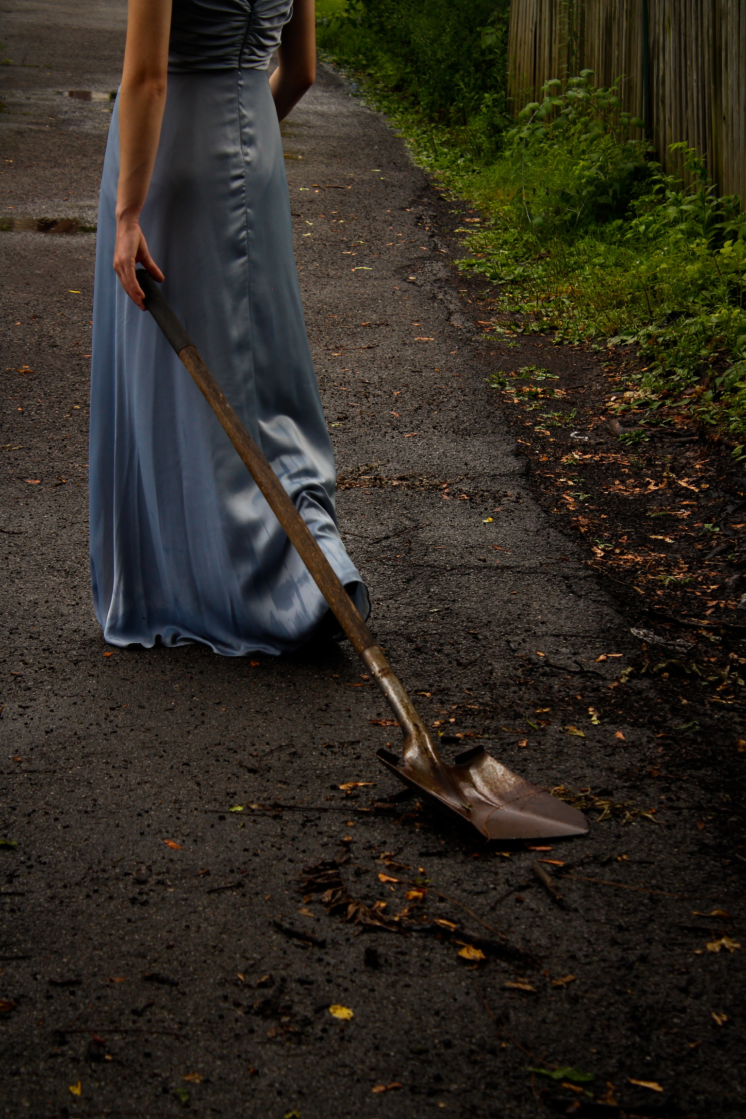 The Ballad of Sara Berry, by Lane Biddle