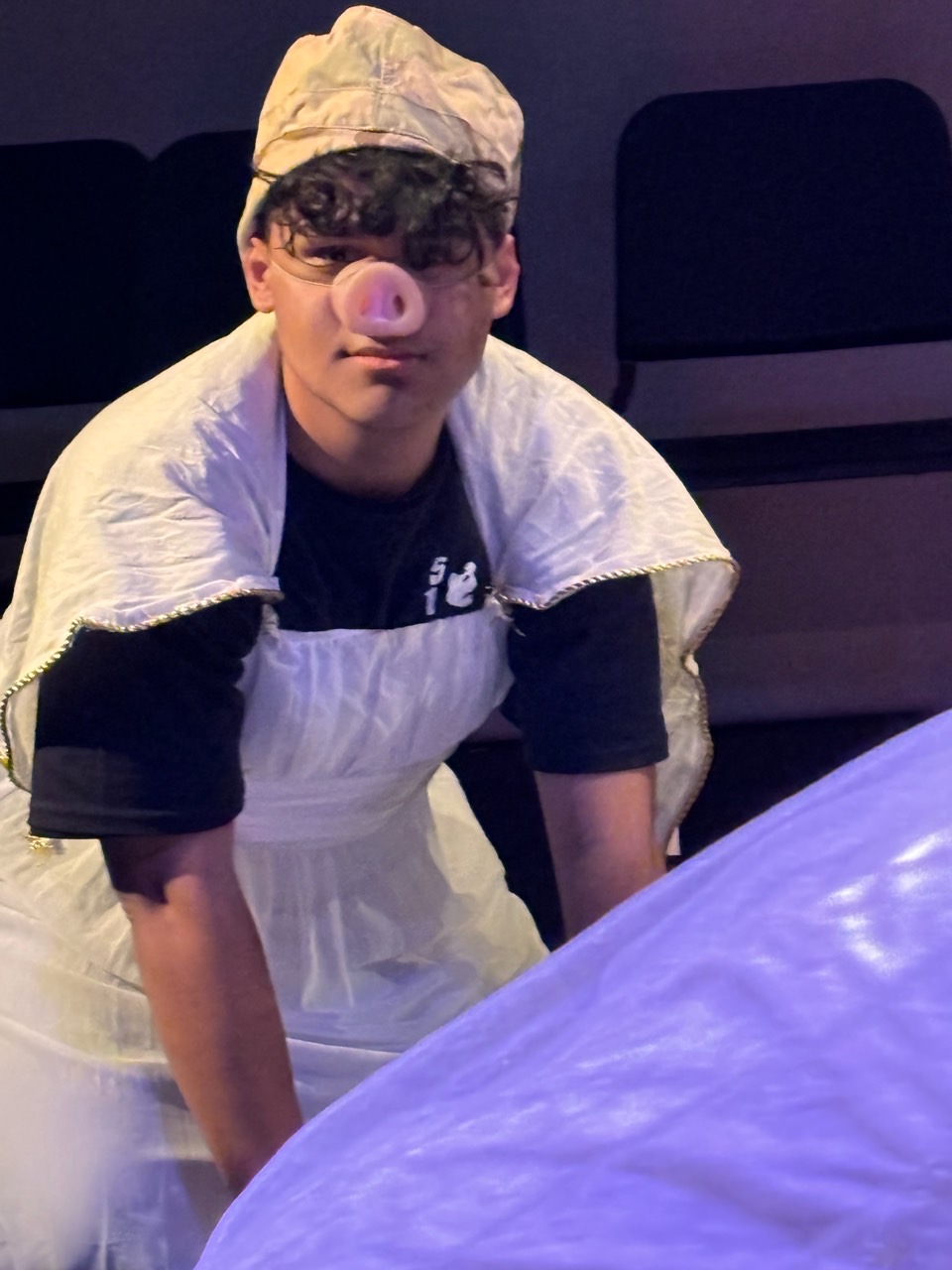 You Turned the Men into Pigs