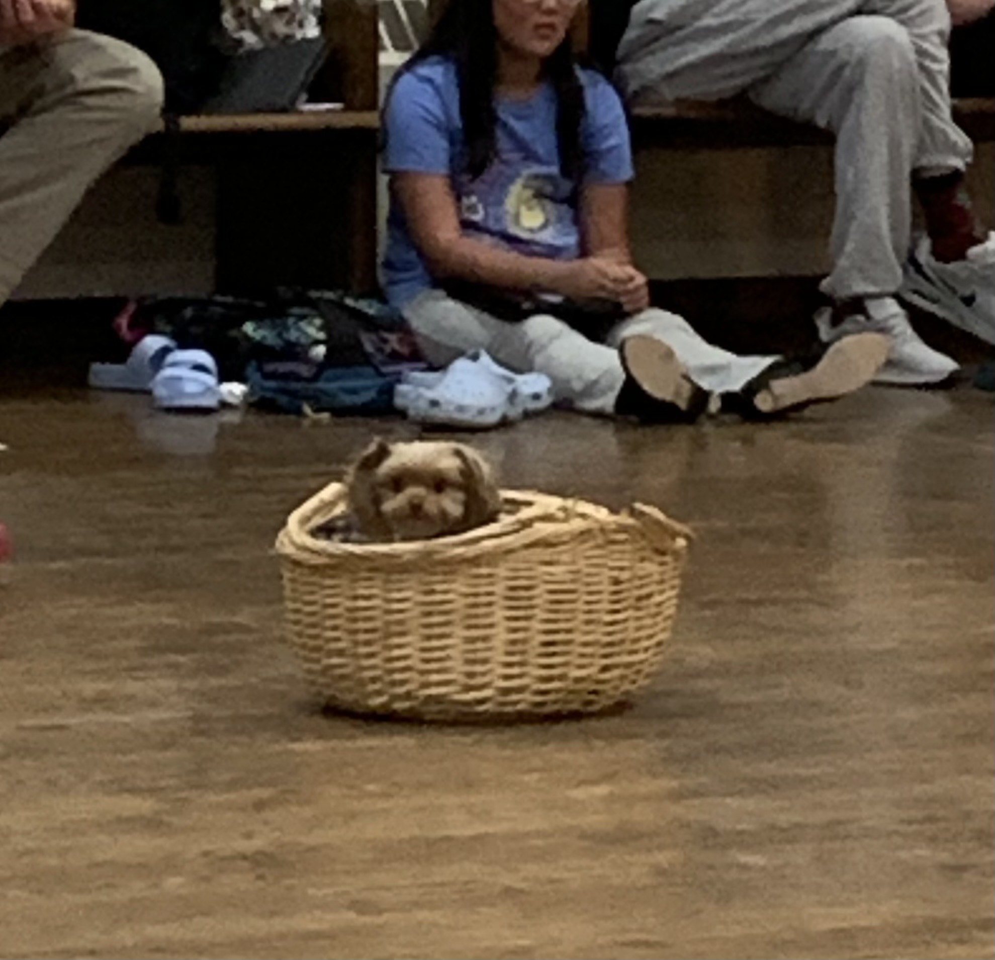 Precious (Toto backup)