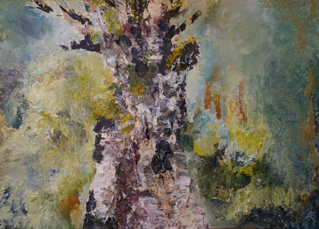 Jomon Sugi, Yakushima Japan Oil on Igarashi Kozo thick 430gsm paper, hand made in Fukui Japan 33cm x 46 cm