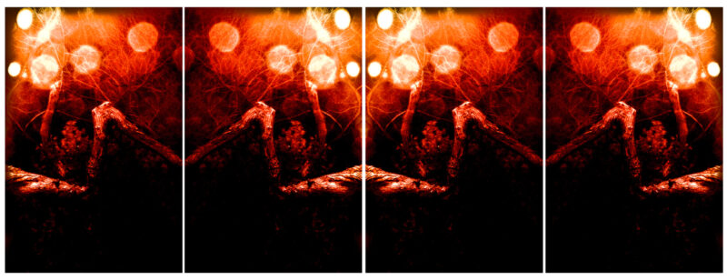Original Photo for Twisted Teeth, by Matthew Murphy