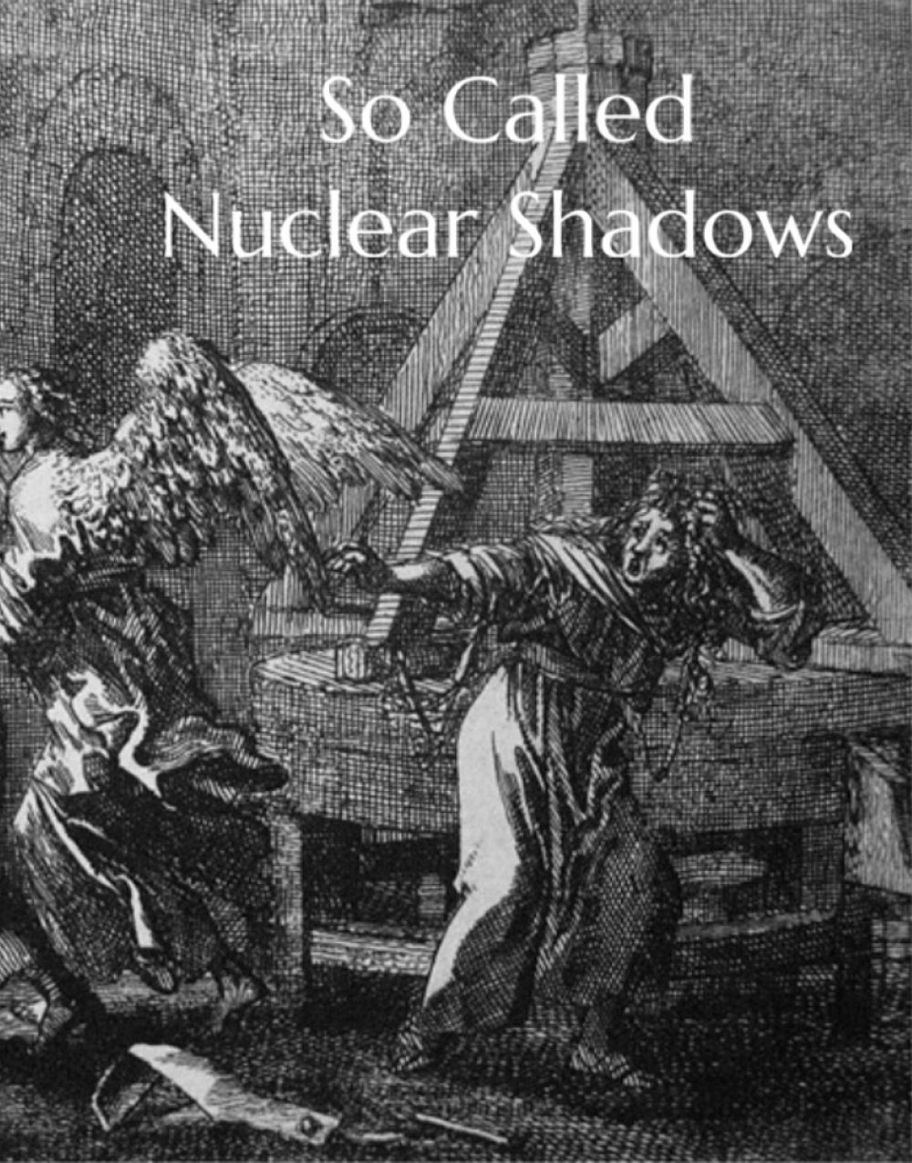So Called Nuclear Shadows at Voices Unleashed