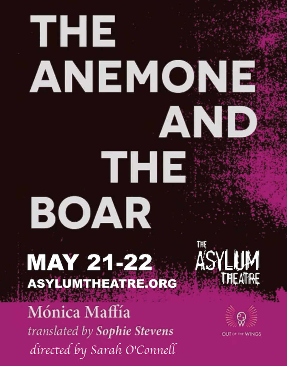 The Anemone and the Boar at The Asylum Theatre