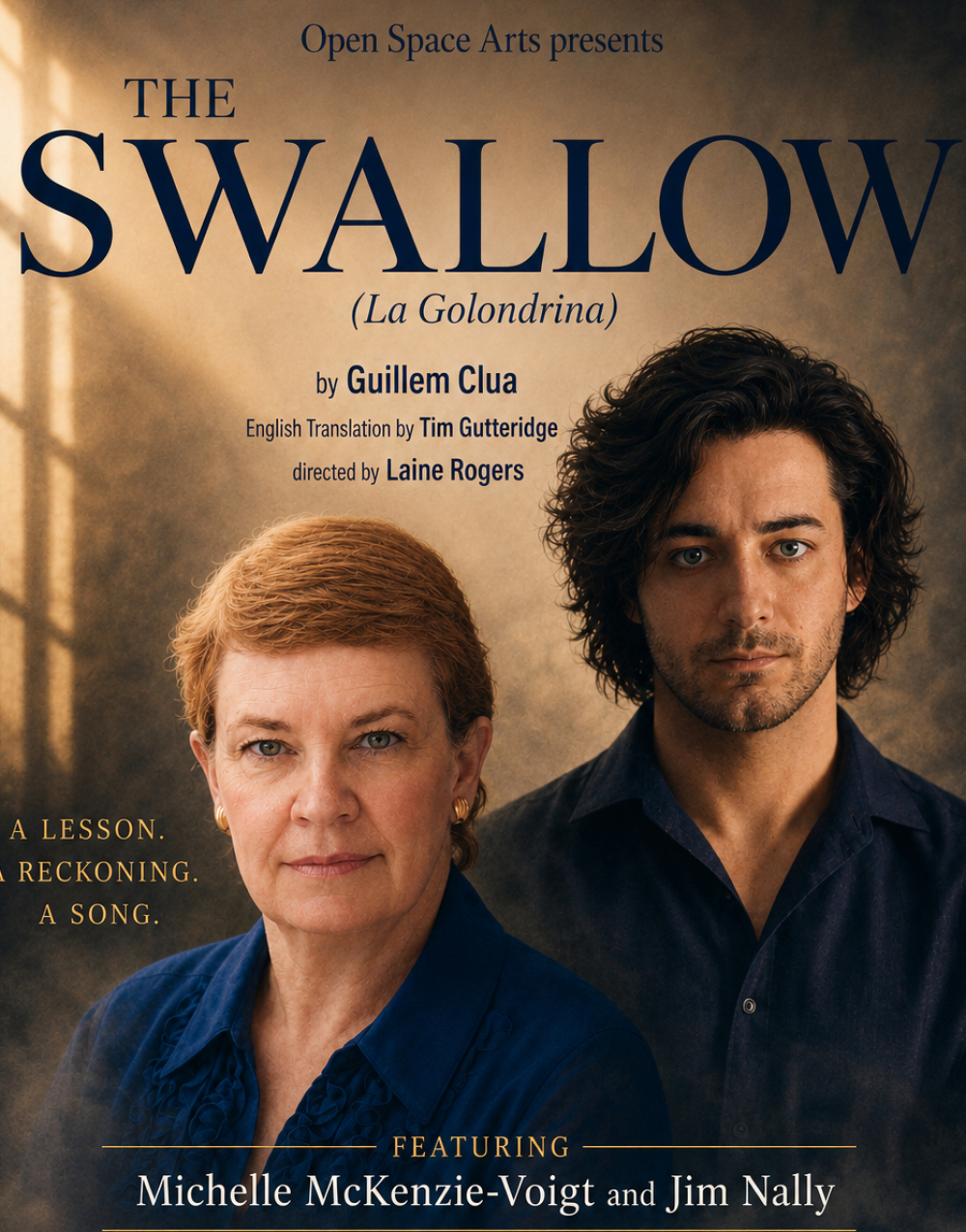 THE SWALLOLW at Open Space Arts