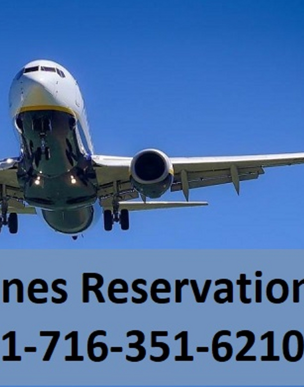 Delta Airlines New Reservation〔1((716)351-62-10 〕Number
