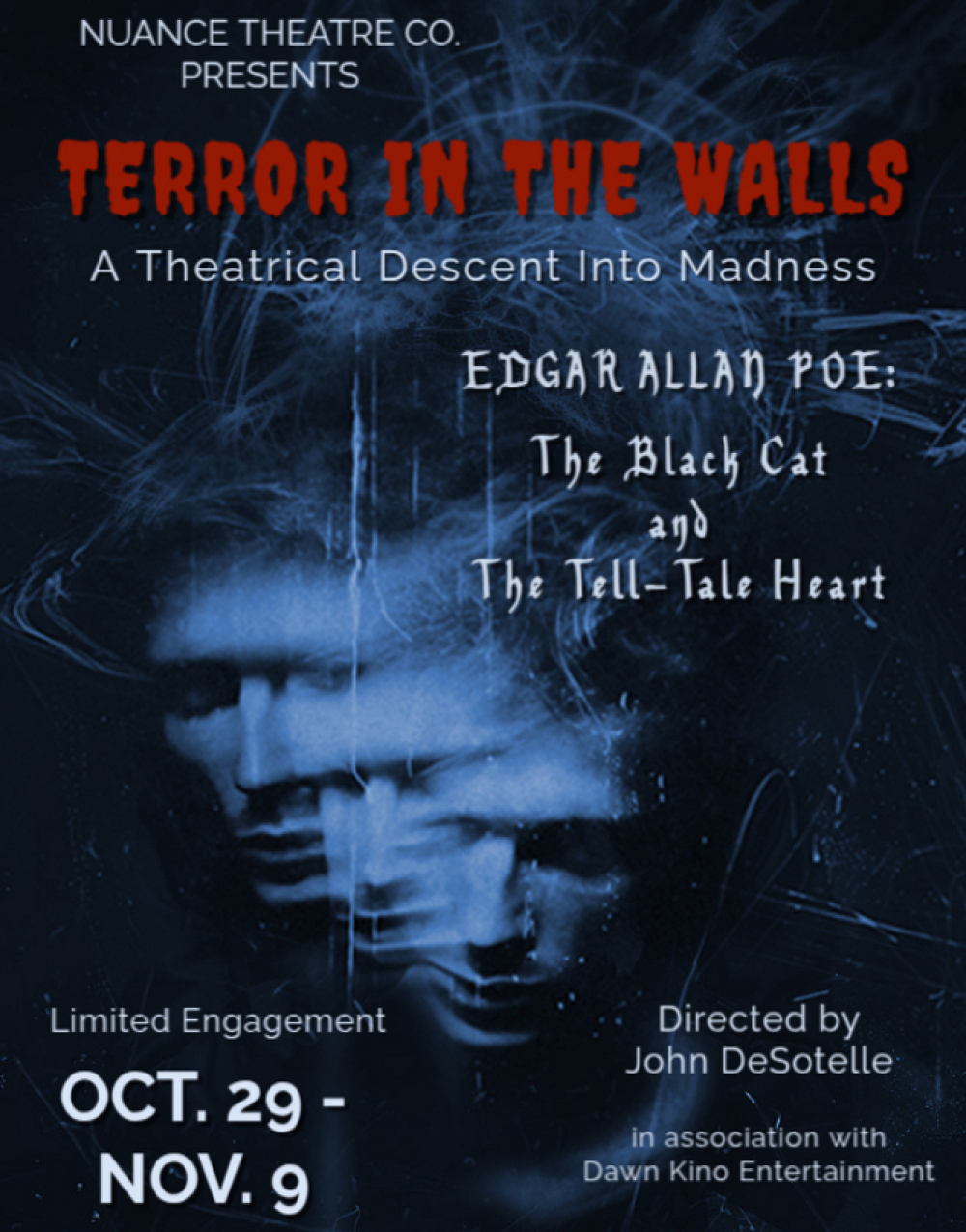 TERROR IN THE WALLS - Edgar Allan Poe's The Black Cat and The Tell-Tale Heart at The NuBox