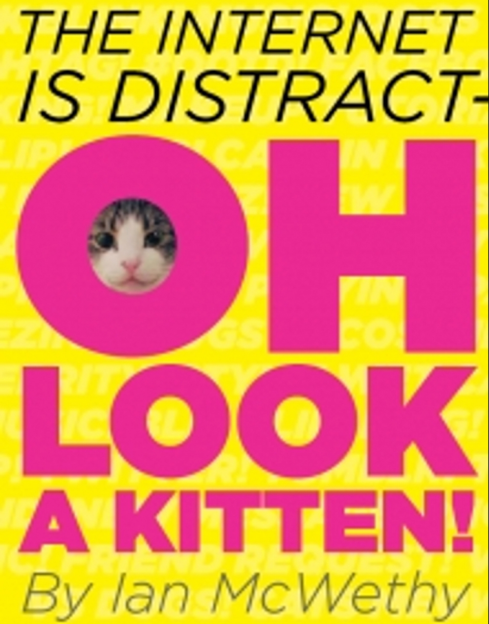 The Internet is Distract- Oh! Look a Kitten! - Kankakee Valley Middle School Stage Mag