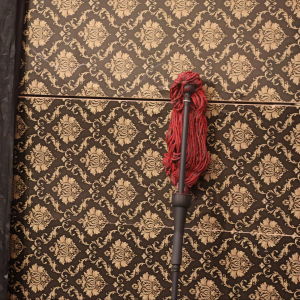 Jonathan's Sketch Mop - RON MOP