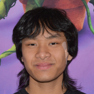 Nikoloz Pham - Projections