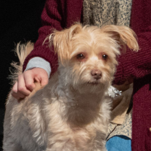 Isabelle Ringwald-Swanson - Sandy