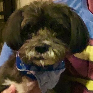 Cooper - 