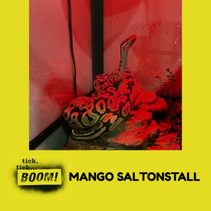 Mango Saltonstall - Kay's Snake