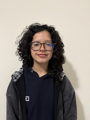 Sabrina Pinto - loud stone