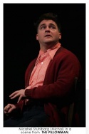 Michael Stuhlbarg (Michal) in a scene from THE PILLOWMAN. Photo