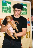 Cheyenne Jackson (All Shook Up) Photo