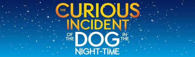The Curious Incident of the Dog in the Night-Time Broadway Reviews