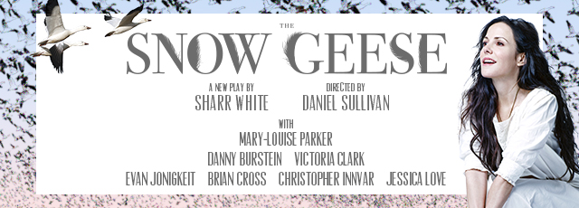 The Snow Geese Broadway Reviews