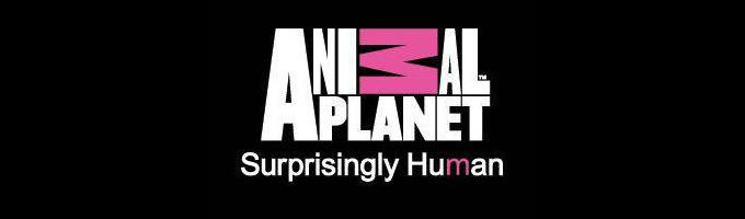 TV - ANIMAL PLANET