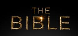 The Bible small logo