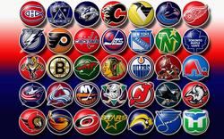 NHL Draft small logo