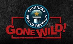 Guinness World Records Gone Wild small logo
