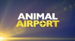 Animal Airport small logo
