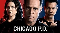 Chicago P.D. small logo