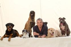 Cesar Millan's Leader of the Pack small logo