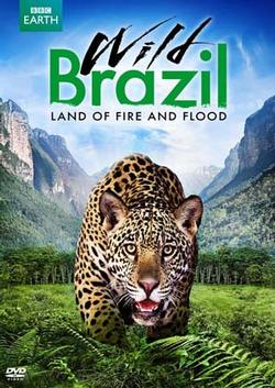 Wild Brazil: Land of Fire and Flood small logo