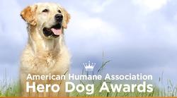American Humane Association Hero Dog Awards small logo