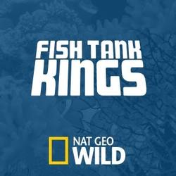 Fish Tank Kings small logo
