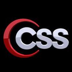 College Softball on CSS small logo