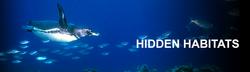 Hidden Habitats small logo