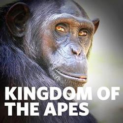 Kingdom of the Apes small logo