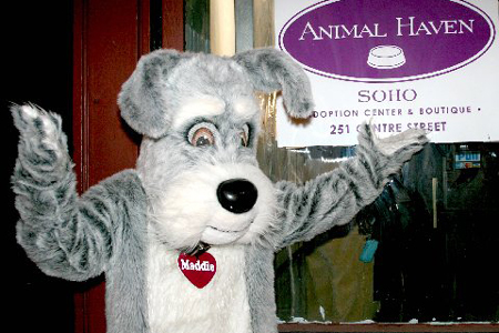 Photo Coverage: Animal Haven Soho Reception Image