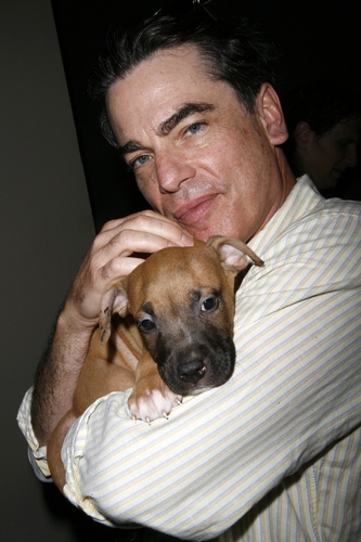 Peter Gallagher 
 Photo
