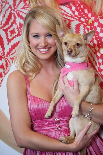 Photos Legally Blondes Bailey Hanks And Bruiser Meet The Press