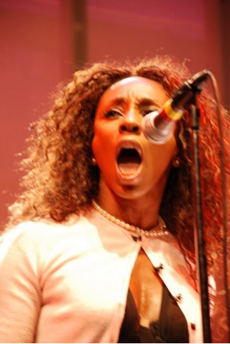 Photo Flash: One Night Only Concert, 'Street Lights for Obama' Image