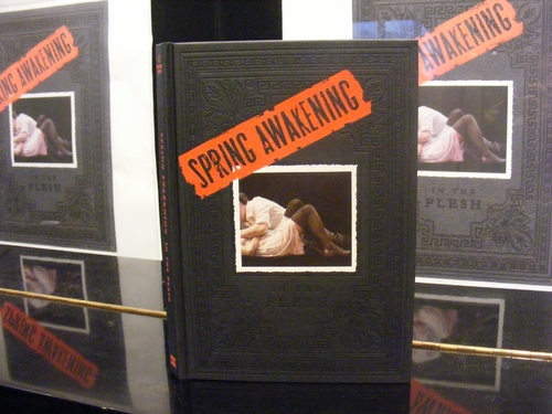 Photo Coverage: 'Spring Awakening In The Flesh' Performance and Book Signing at Barnes & Noble Image