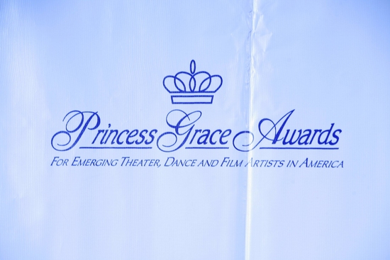 Photo Coverage: Glenn Close Honored at Princess Grace Awards Gala Image