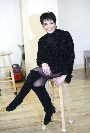 Photo Coverage: Liza's at the Palace...! Meets The Press Image
