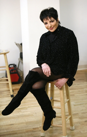 Photo Coverage: Liza's at the Palace...! Meets The Press Image