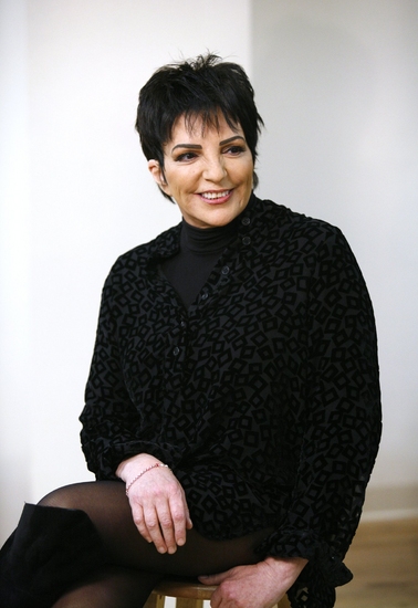 Photo Coverage: Liza's at the Palace...! Meets The Press Image