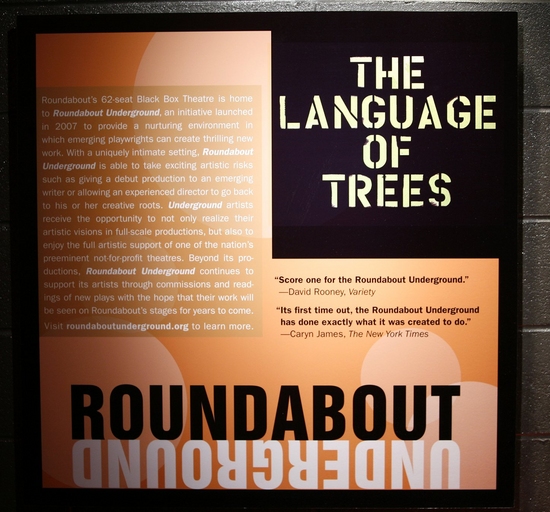 Photo Coverage: Roundabout's THE LANGUAGE OF TREES Opening Night Image