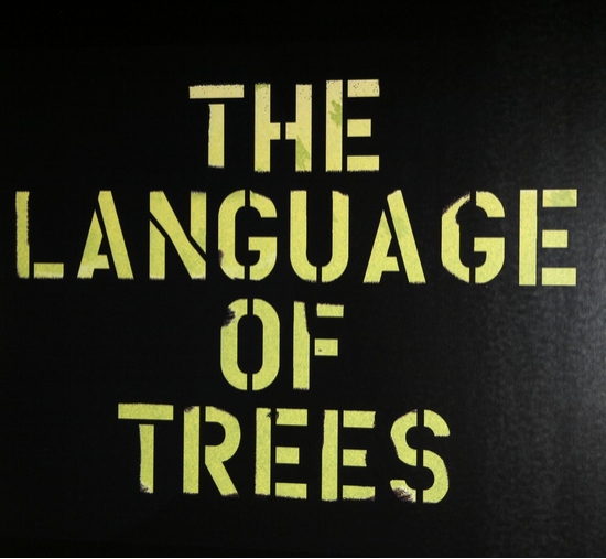 Photo Coverage: Roundabout's THE LANGUAGE OF TREES Opening Night 