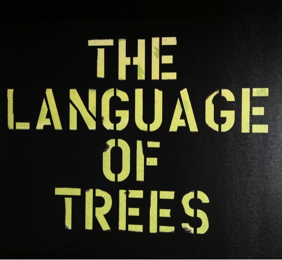 Photo Coverage: Roundabout's THE LANGUAGE OF TREES Opening Night Image