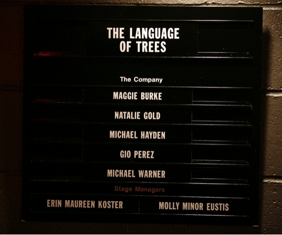 Photo Coverage: Roundabout's THE LANGUAGE OF TREES Opening Night 