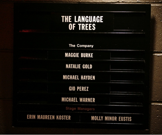 Photo Coverage: Roundabout's THE LANGUAGE OF TREES Opening Night Image