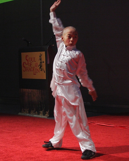 Photo Coverage: SOUL OF SHAOLIN Press Preview Image