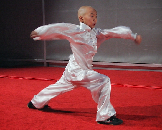 Photo Coverage: SOUL OF SHAOLIN Press Preview Image